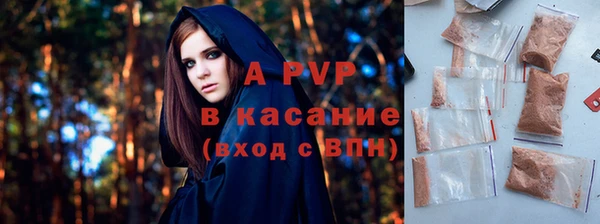 прущие грибы Балабаново