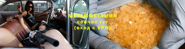 прущие грибы Балабаново