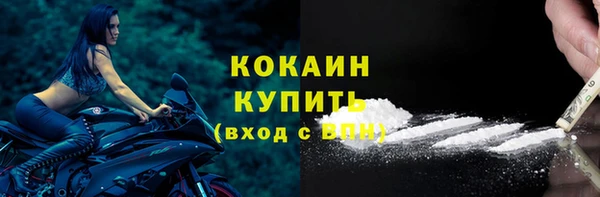 прущие грибы Балабаново