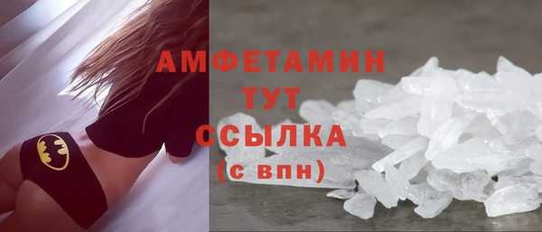 прущие грибы Балабаново
