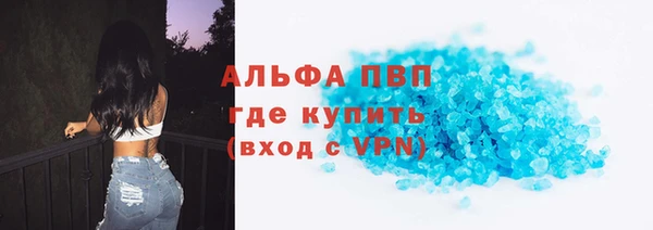 прущие грибы Балабаново
