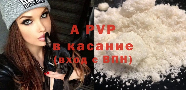прущие грибы Балабаново