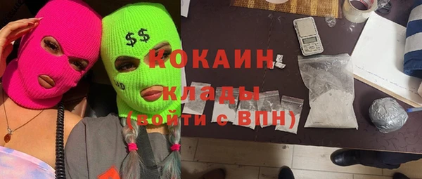 прущие грибы Балабаново